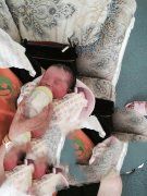 ����ɥʧ����ĸ�׵��ʸ�û�뵽���ܵ��ϴ���' /></a></div>
		<div class=